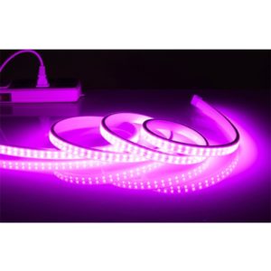 Led crevo traka 5730 10mm pink ip65 220v TB