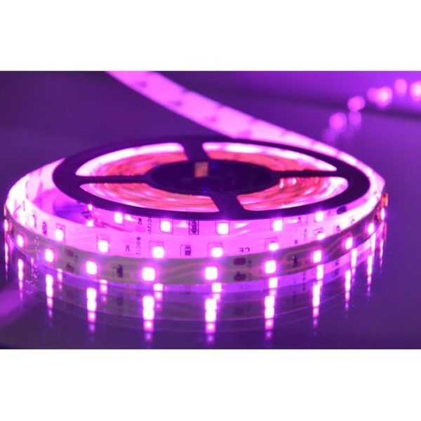 Led traka MLR-2835-60 pink 12V IP20